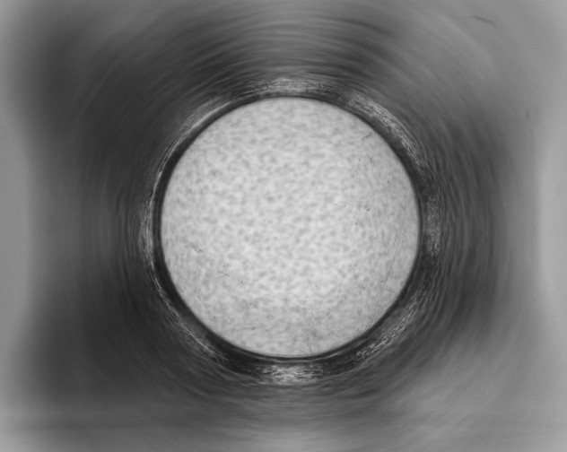 X0000095960794200802081316