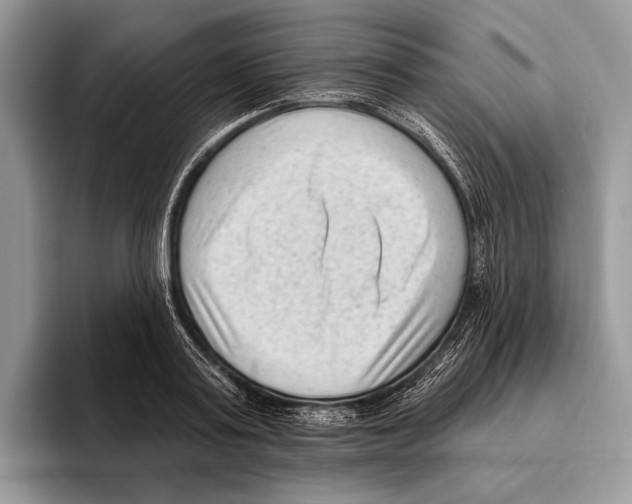 X0000095960795200802081316