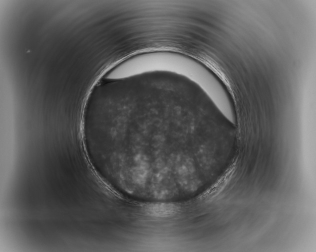 X0000095960797200802081316