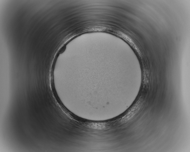 X0000095960802200802081316