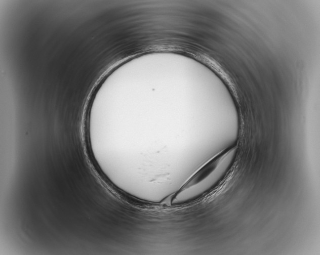 X0000095960803200802081316