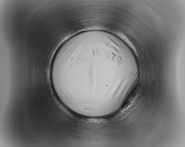 X0000095960805200802081316