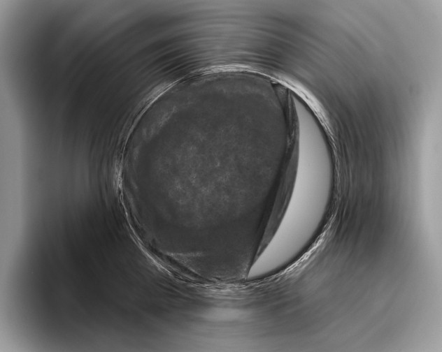 X0000095960809200802081316