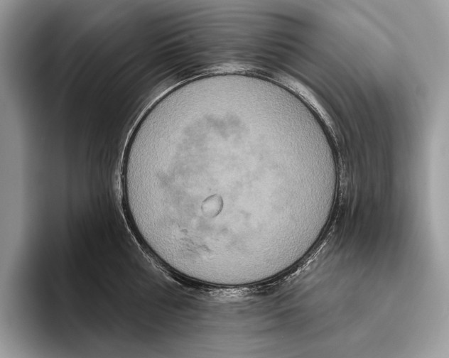 X0000095960810200802081316