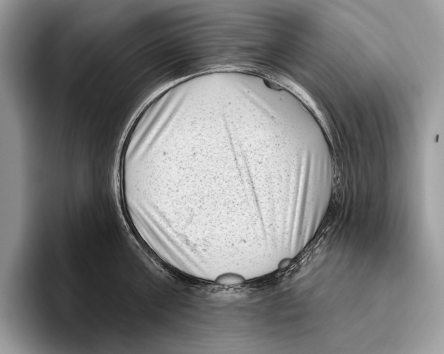 X0000095960811200802081316