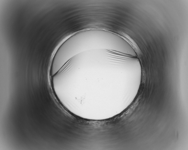 X0000095960812200802081316