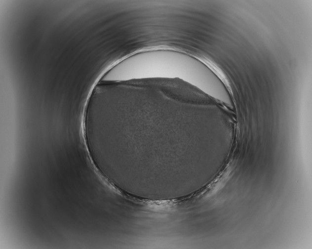 X0000095960813200802081316