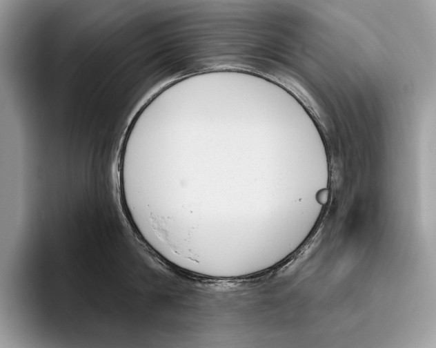 X0000095960814200802081316