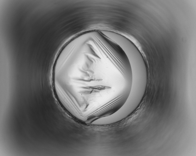 X0000095960815200802081316