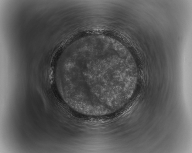 X0000095960818200802081315