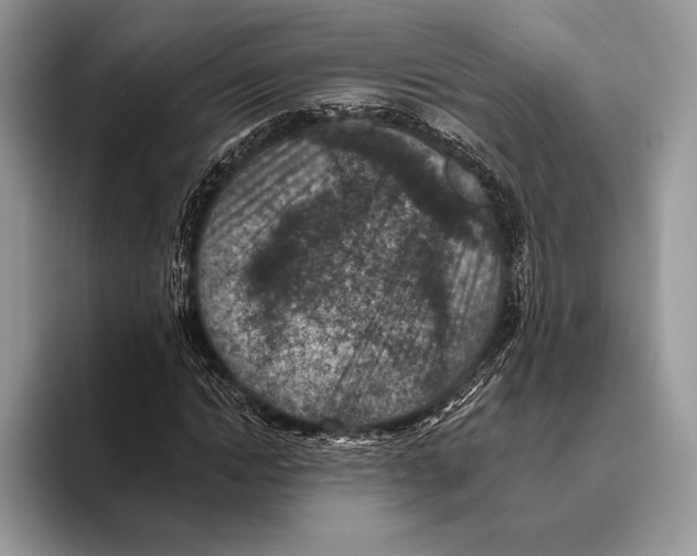 X0000095960822200802081315