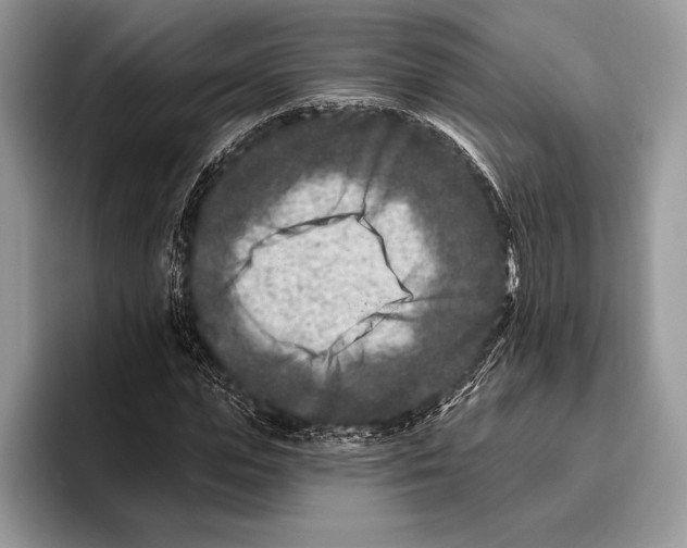 X0000095960823200802081315