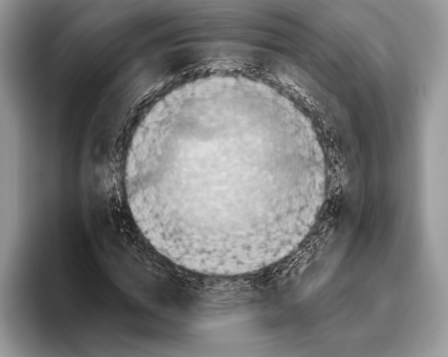 X0000095960824200802081315