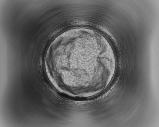 X0000095960825200802081315