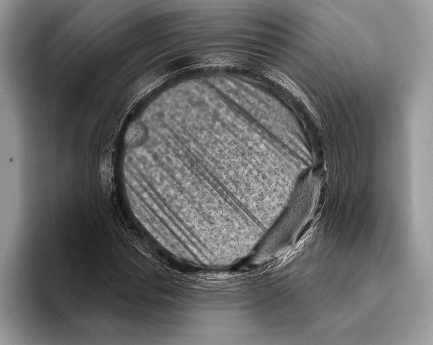 X0000095960826200802081315