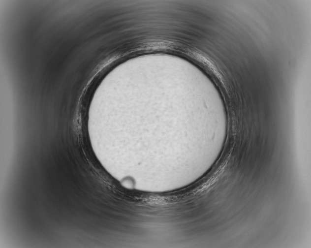 X0000095960827200802081315
