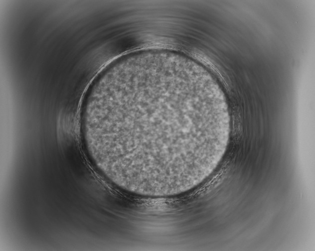 X0000095960828200802081316