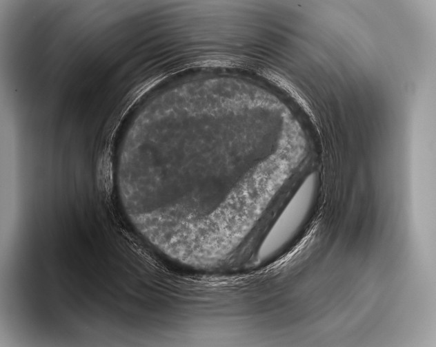 X0000095960829200802081316