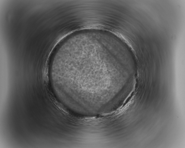 X0000095960830200802081316