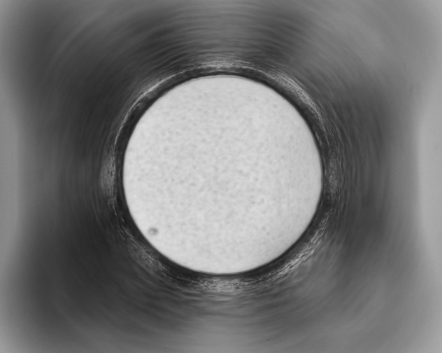 X0000095960831200802081316