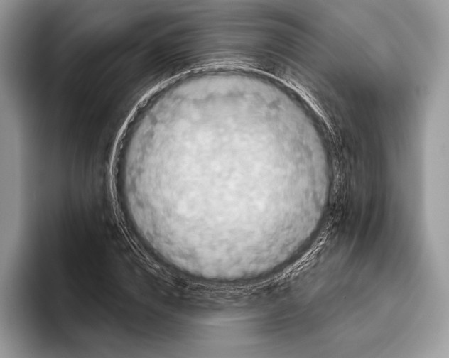 X0000095960832200802081316