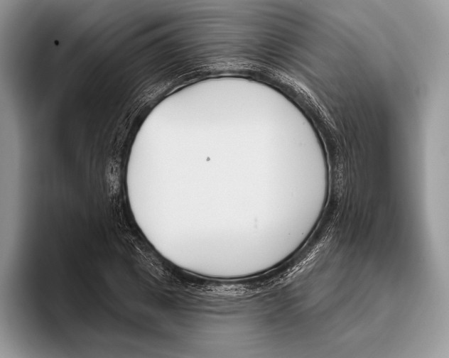 X0000095960833200802081316