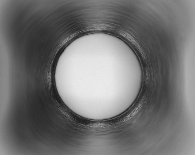 X0000095960834200802081316