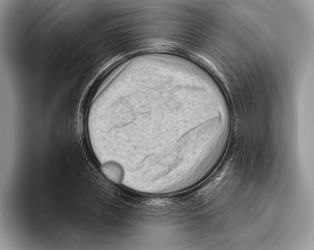 X0000095960835200802081316
