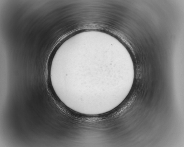 X0000095960837200802081316