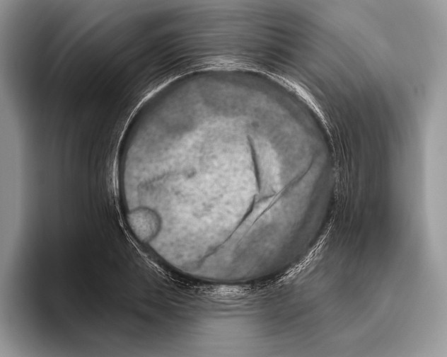 X0000095960839200802081316