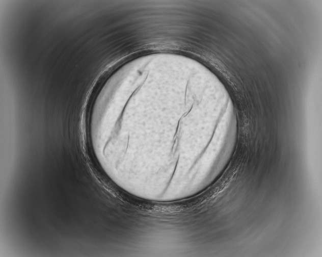 X0000095960840200802081316