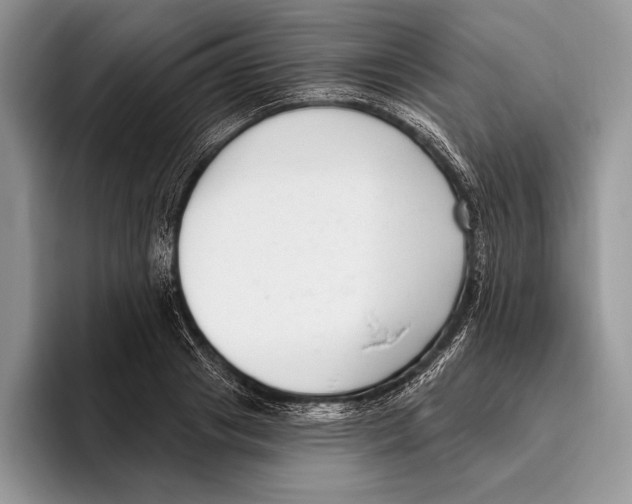 X0000095960841200802081316