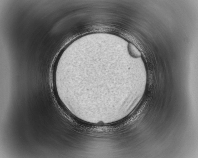 X0000095960843200802081316