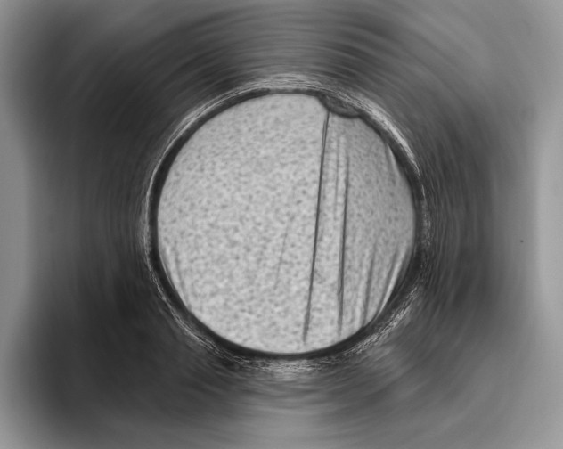 X0000095960845200802081316