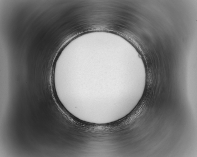 X0000095960847200802081316