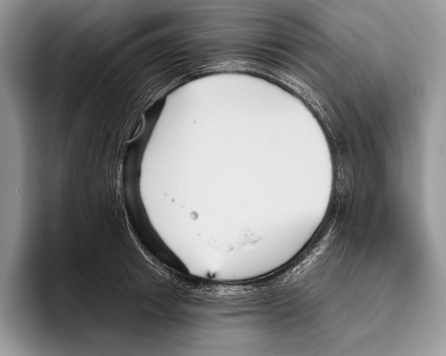 X0000095960849200802081316