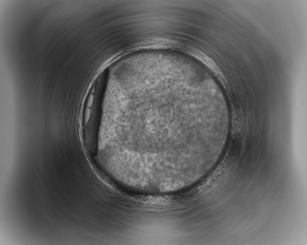 X0000095960850200802081316