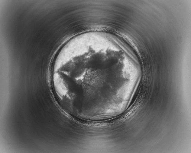 X0000095960851200802081316