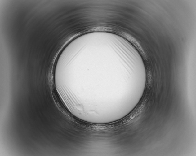 X0000095960852200802081316