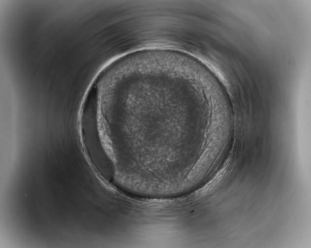X0000095960854200802081316