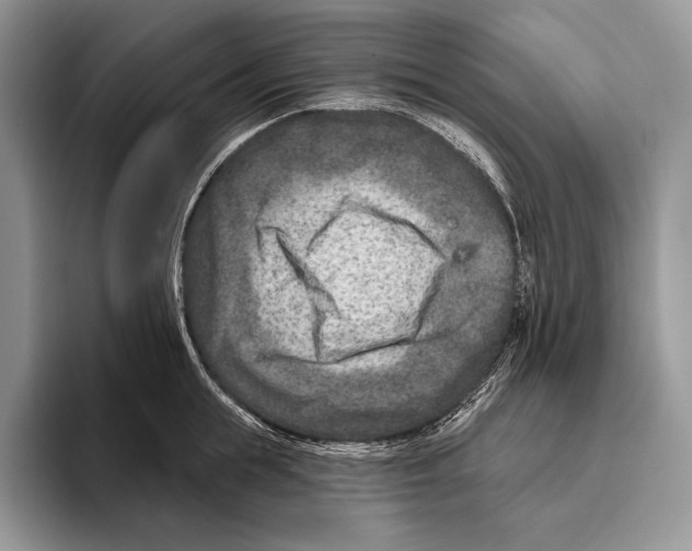 X0000095960855200802081316