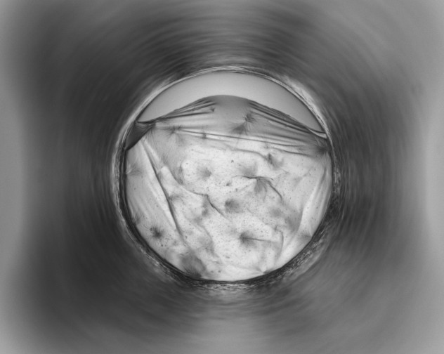 X0000095960859200802081316