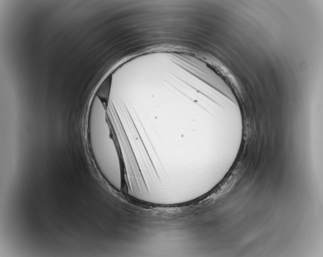 X0000095960860200802081316