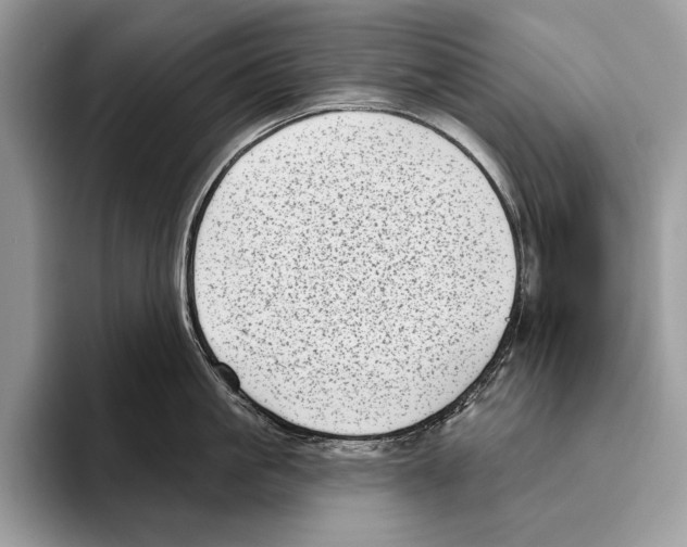 X0000095960861200802081316