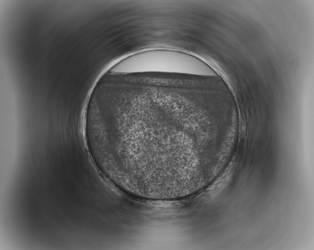 X0000095960862200802081316