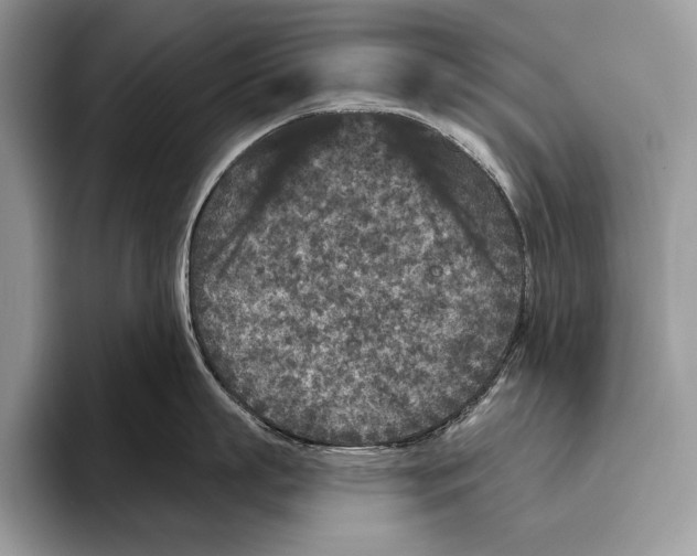 X0000095960863200802081316