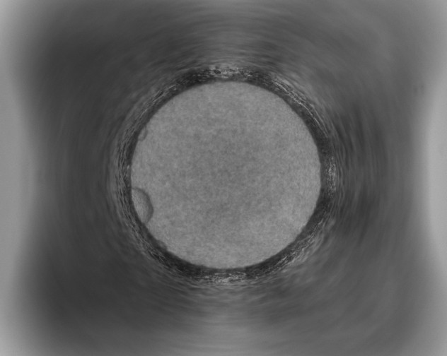 X0000095960865200802081315