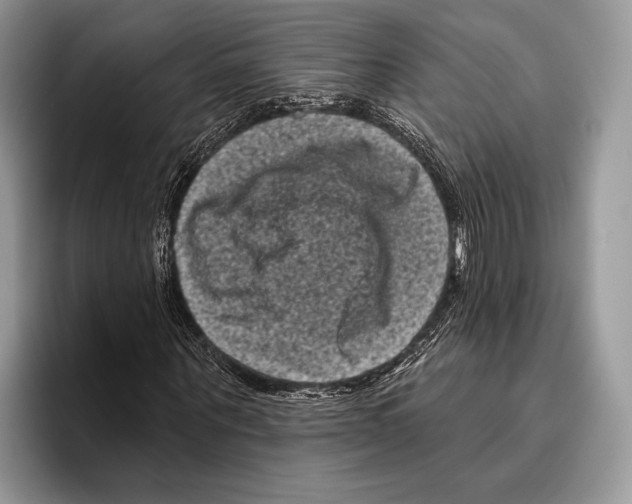 X0000095960867200802081315