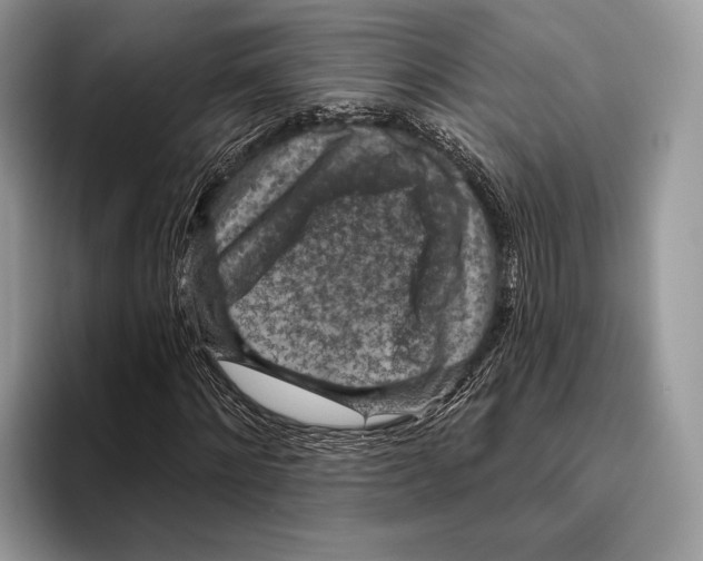 X0000095960868200802081315