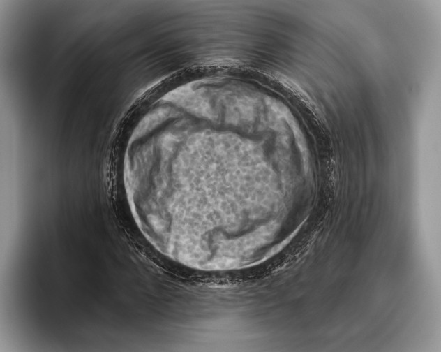 X0000095960872200802081315